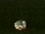 Frame from the video