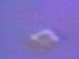 Frame from the video