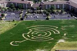 Crop circle