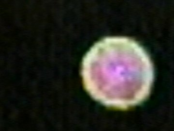 Frame